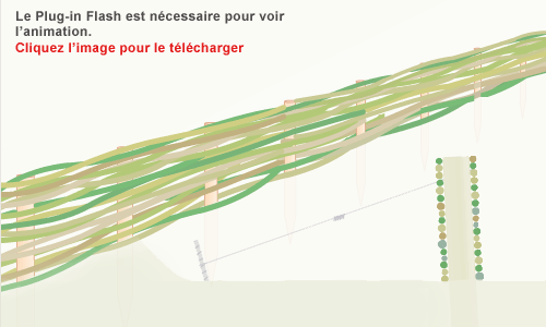 Tlcharger flash pour voir l'animation